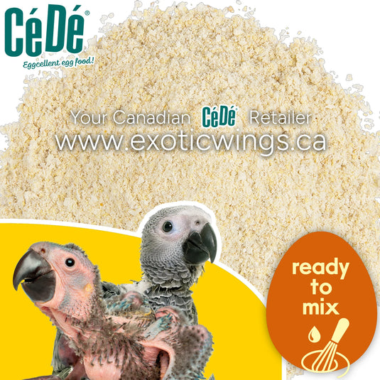 CéDé Energy+ P19 Hand Rearing Food - 800g