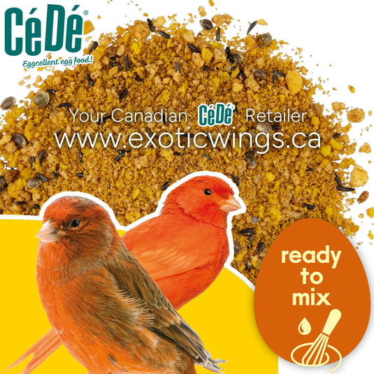 CéDé Premium Red Eggfood for Red Canaries