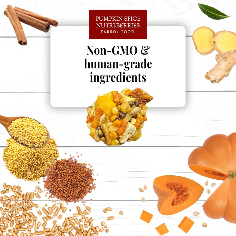 Load image into Gallery viewer, Lafeber's LIMITED EDITION Pumpkin Spice Nutri-Berries Small Bird