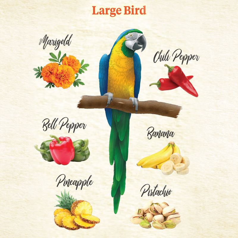 Load image into Gallery viewer, Kaytee Food from the Wild Treat for Medium & Large Parrots - 3 oz