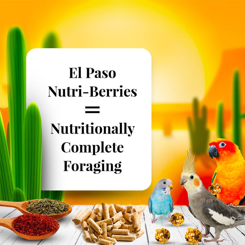 Load image into Gallery viewer, Lafeber's El Paso Nutri-Berries Small Bird