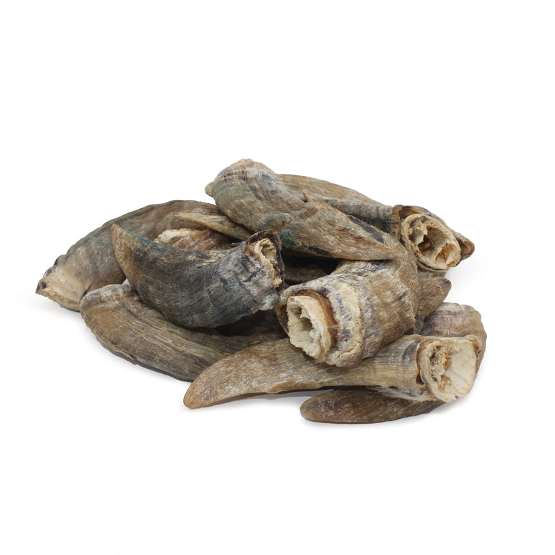 Load image into Gallery viewer, Icelandic+ Lamb Horn Dog Treat