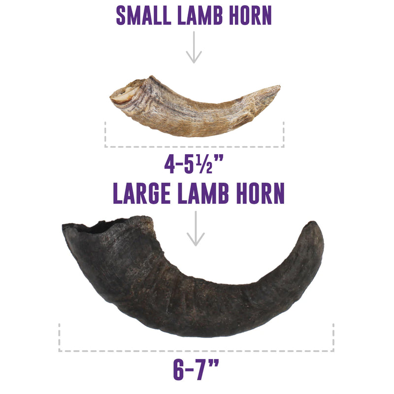 Load image into Gallery viewer, Icelandic+ Lamb Horn Dog Treat