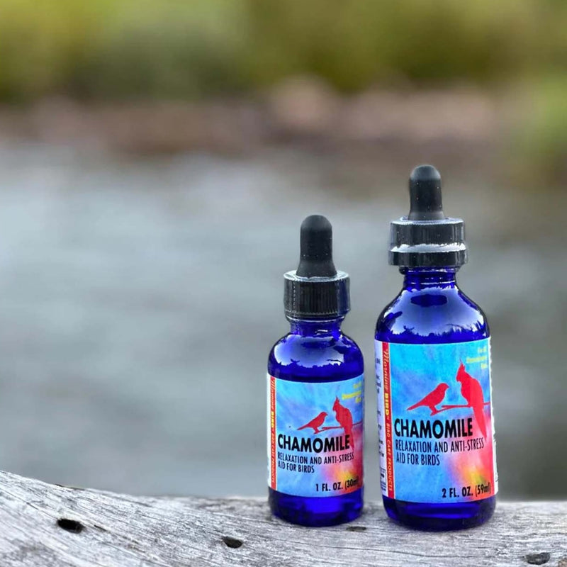 Load image into Gallery viewer, Chamomile for Anxiety & Plucking - 1 oz