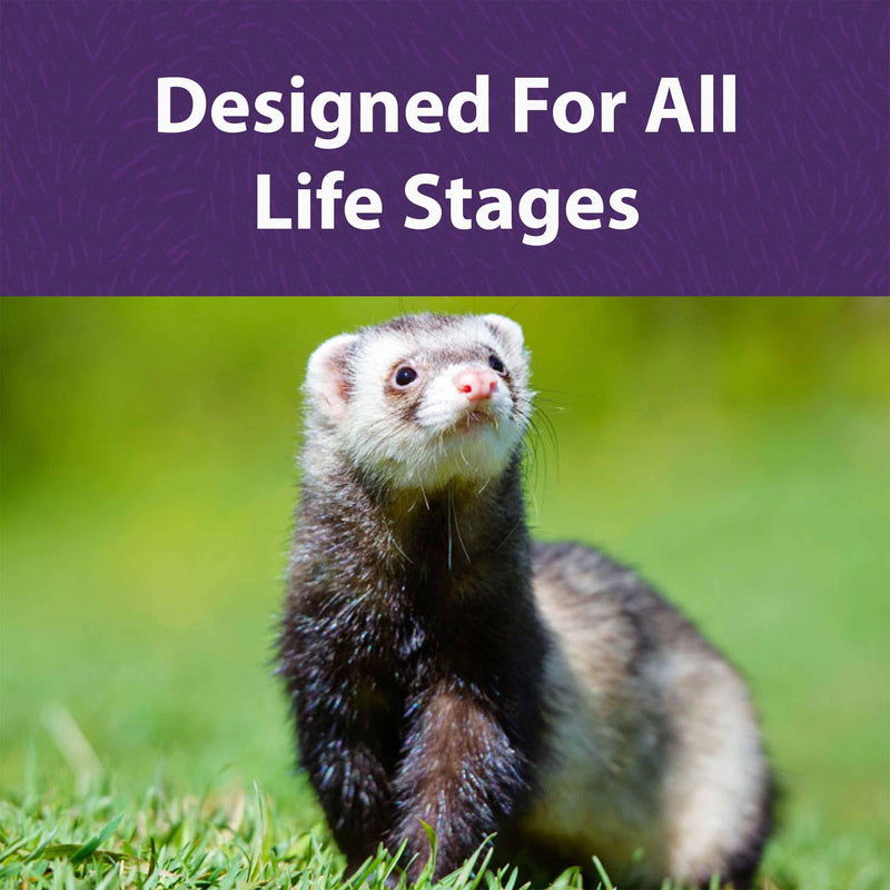 Load image into Gallery viewer, Mazuri Ferret Diet
