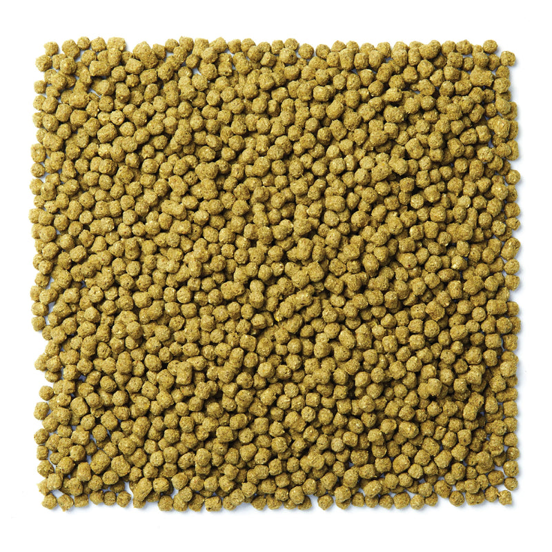 Load image into Gallery viewer, Mazuri NutriBlend Green Pigeon Diet - 50 lb