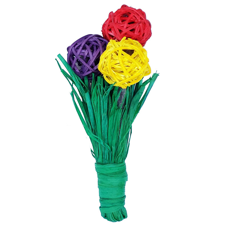 Load image into Gallery viewer, Garden Chews Small Pet 4-Toy Pack