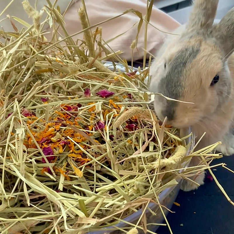 Load image into Gallery viewer, No Furries Delghts All-in-One Small Pet Forage / Tea Mix - 30g