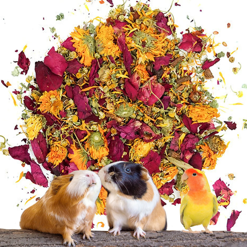 Load image into Gallery viewer, No Furries Delghts All-in-One Bird & Small Pet Forage / Tea Mix - 30g
