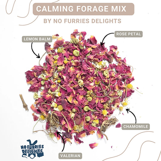 No Furries Delghts Mega Calming Small Pet Forage / Tea Mix - 25g