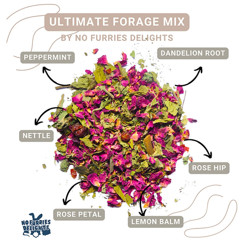 Load image into Gallery viewer, No Furries Delights Ultimate Bird & Small Pet Forage / Tea Mix - 30g