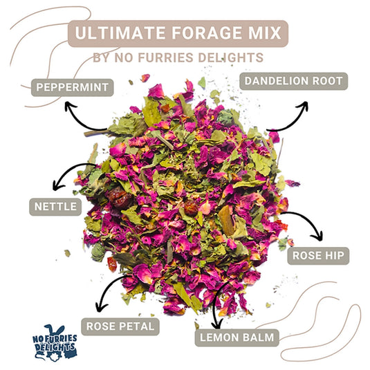 No Furries Delghts Ultimate Small Pet Forage / Tea Mix - 30g