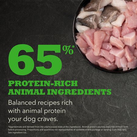 Acana HERITAGE Senior Dog Recipe 🍁