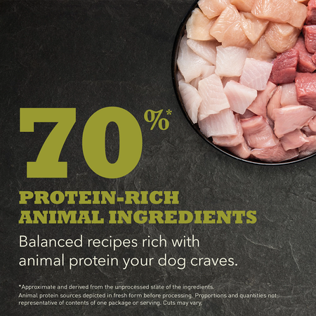 Load image into Gallery viewer, Acana REGIONALS Grain Free Dog Food - Grasslands 🍁