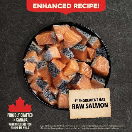 Load image into Gallery viewer, Acana CLASSICS Wild Coast Dog Food 🍁