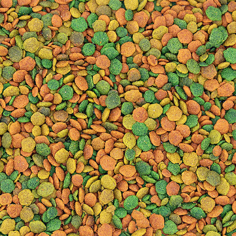 Load image into Gallery viewer, Versele-Laga NutriBird G14 Tropical Large Parakeet Maintenance Pellet