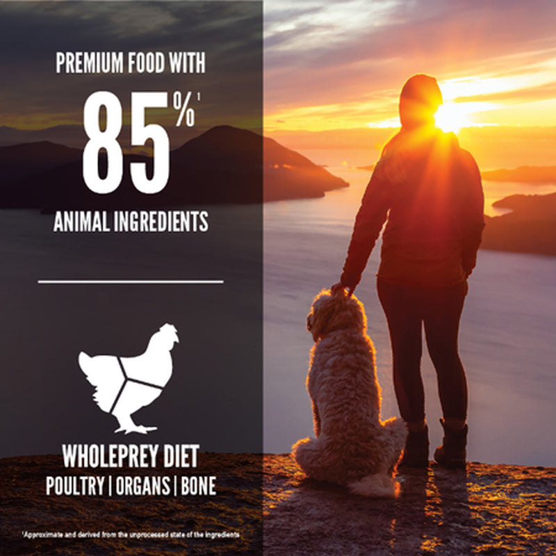 Load image into Gallery viewer, Orijen Senior Grain Free Dog Food 🍁