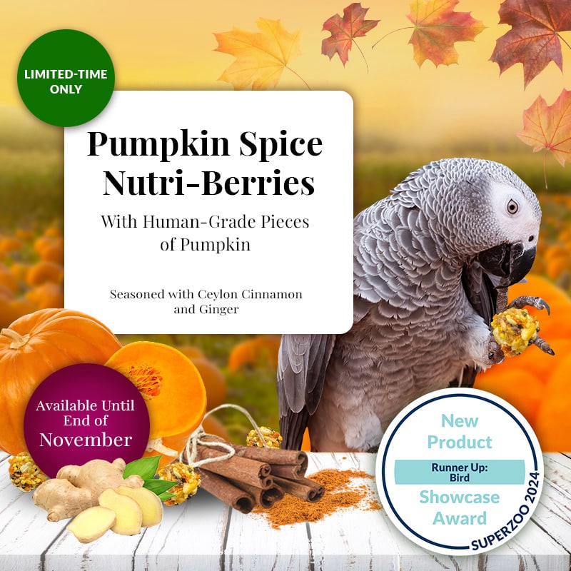 Load image into Gallery viewer, Lafeber's LIMITED EDITION Pumpkin Spice Nutri-Berries for Parrots