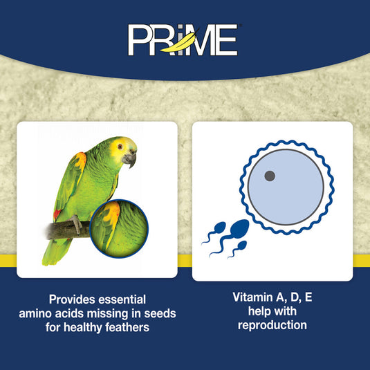 Prime Vitamin Mineral Amino Acid Supplement - Probiotic for All Birds 🍁