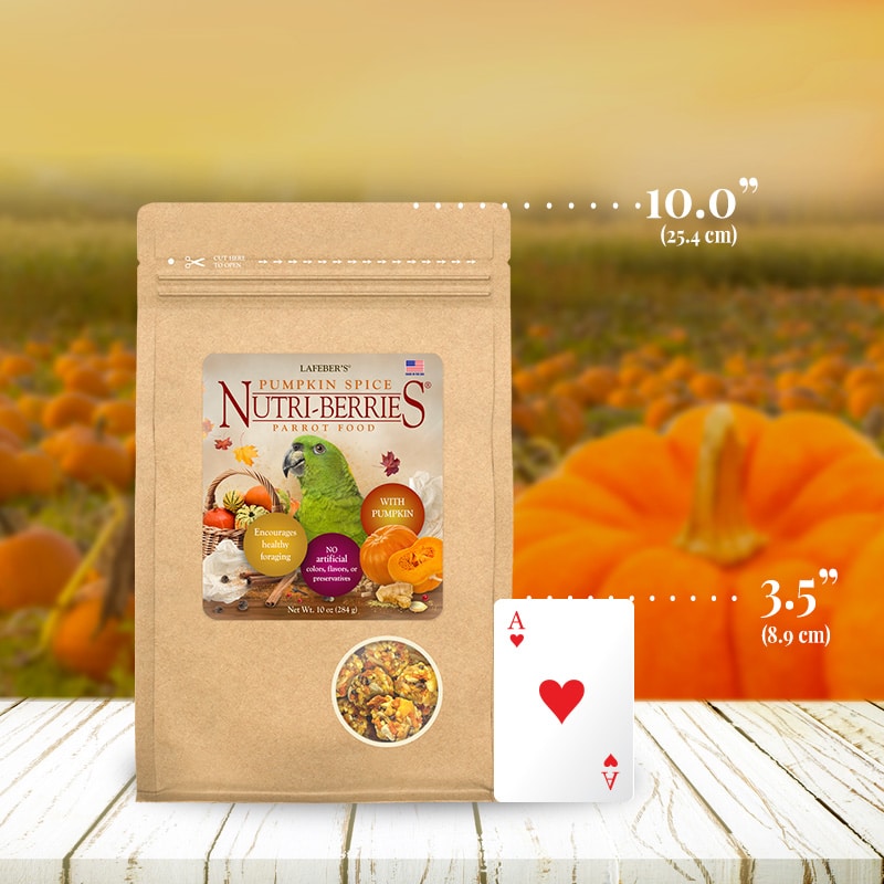 Load image into Gallery viewer, Lafeber's LIMITED EDITION Pumpkin Spice Nutri-Berries for Parrots