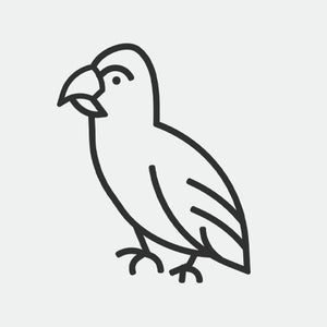 Purchasing A Bird