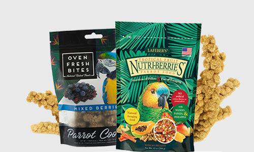 Bird Treats - Breads, Cookies, Sticks, and Egg Biscuits