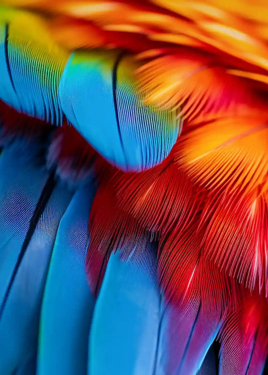 Shop Bird