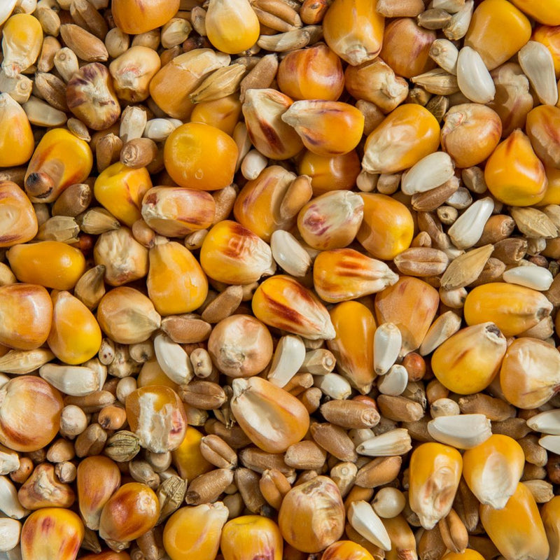 Load image into Gallery viewer, Pigeon Race Mix - No Peas ๐