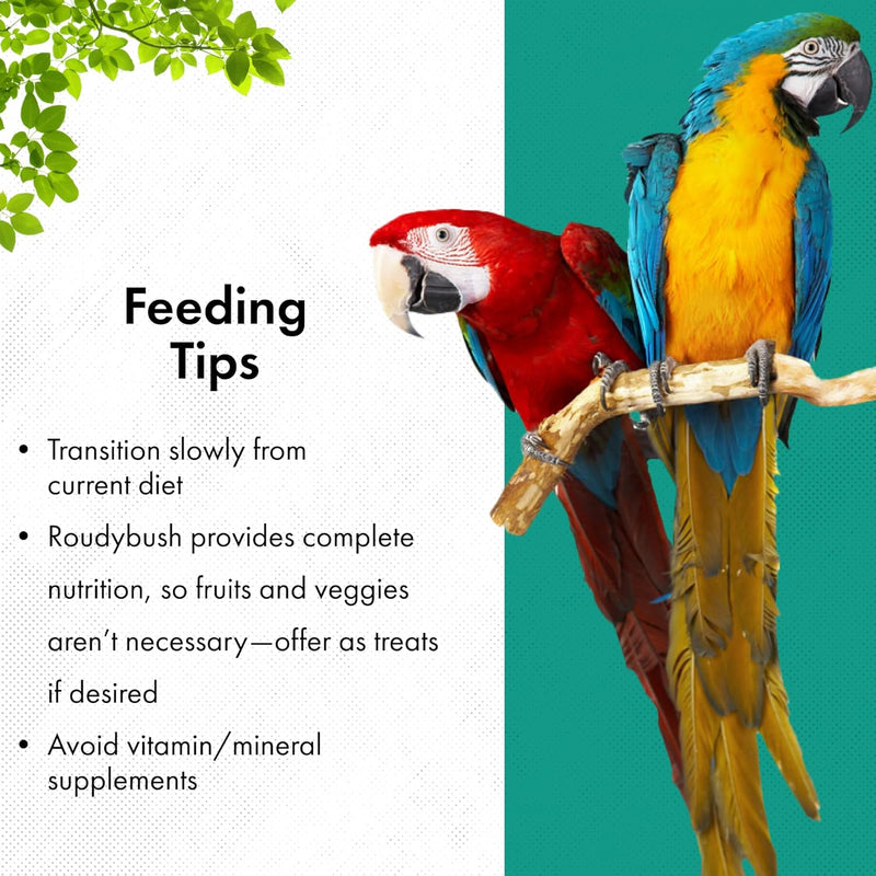 Load image into Gallery viewer, Two parrots on a branch with feeding tips text on a white and green background