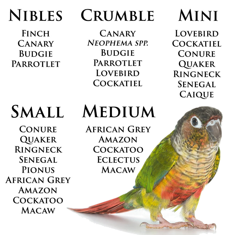 Load image into Gallery viewer, Roudybush Daily Maintenance Bird Food Mini Pellets