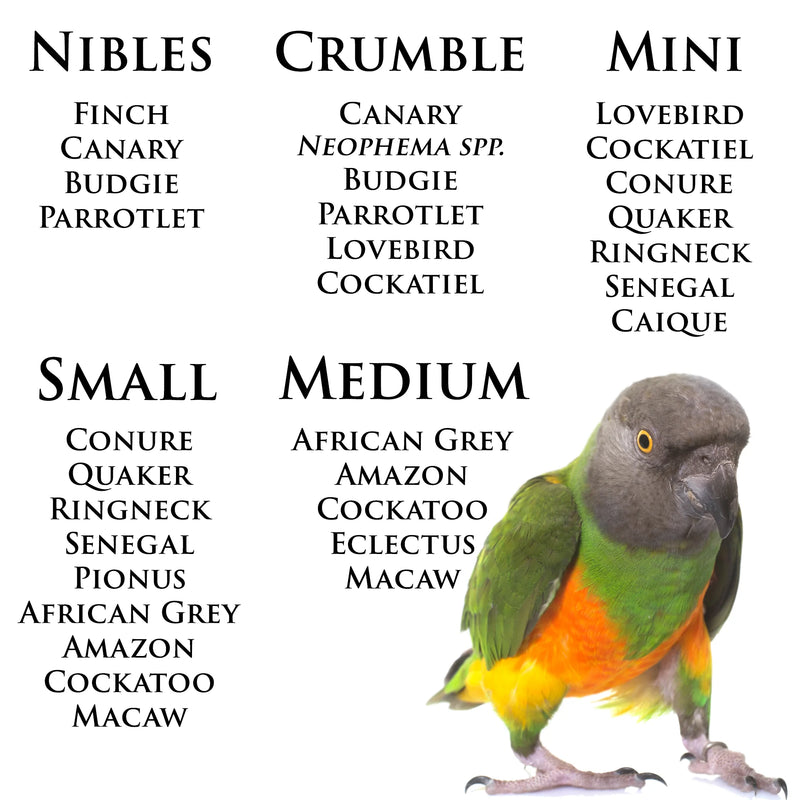 Load image into Gallery viewer, Roudybush Daily Maintenance Bird Food Small Pellets