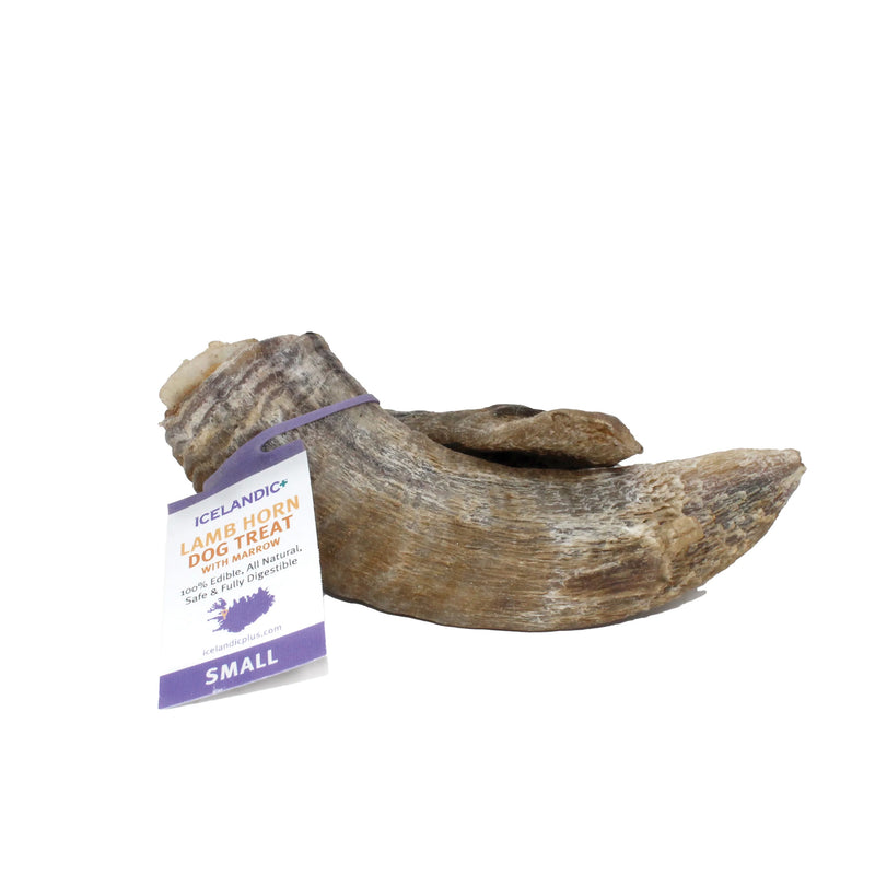 Load image into Gallery viewer, Icelandic+ Lamb Horn Dog Treat