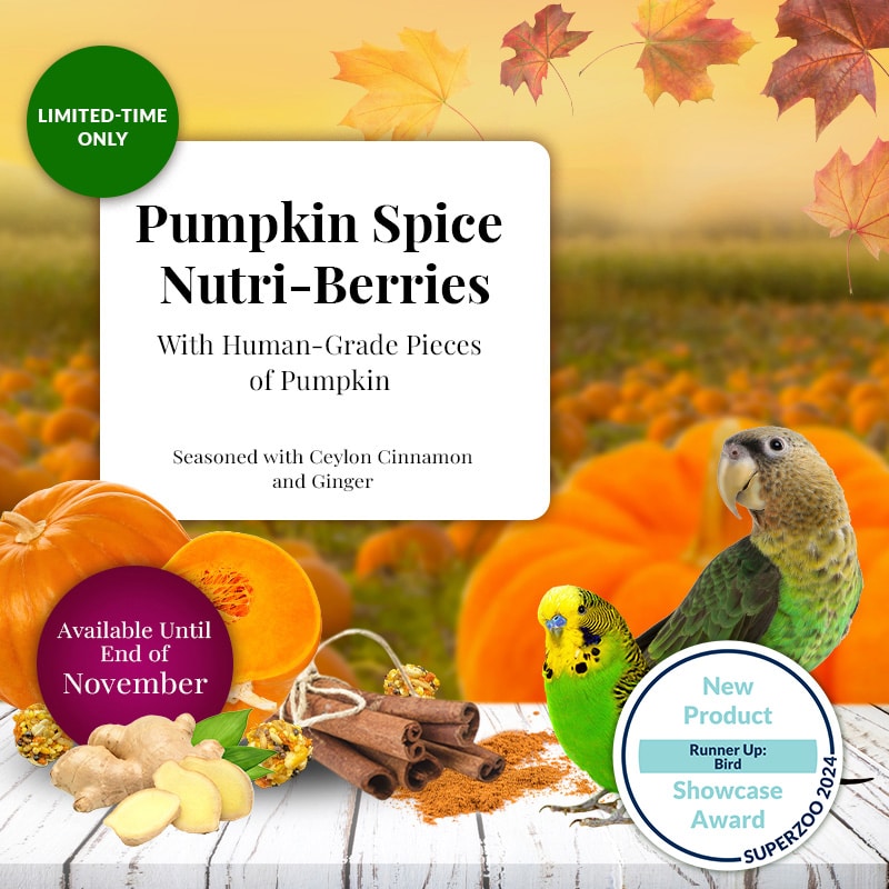 Load image into Gallery viewer, Lafeber's LIMITED EDITION Pumpkin Spice Nutri-Berries Small Bird