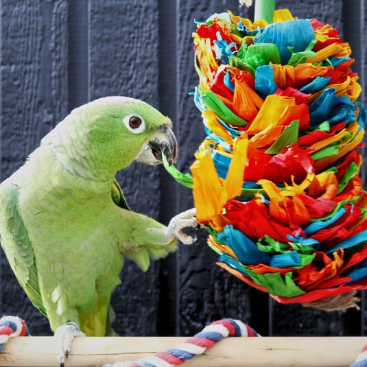HARI Smart Play Enrichment Parrot Toy Venus