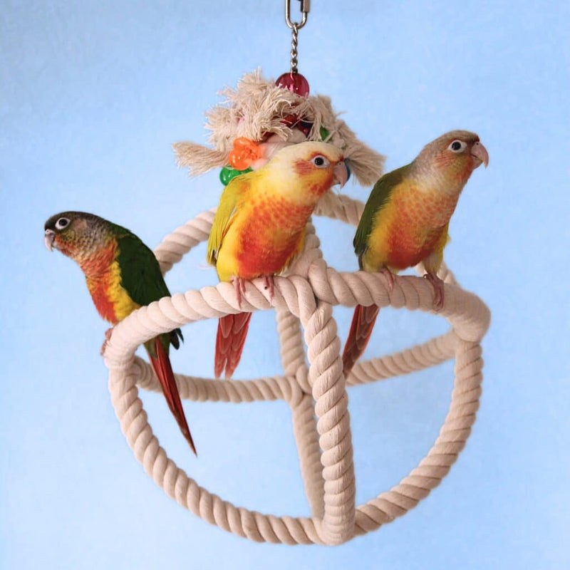 Load image into Gallery viewer, HARI Smart Play Rope Orbiter Perch n' Swing