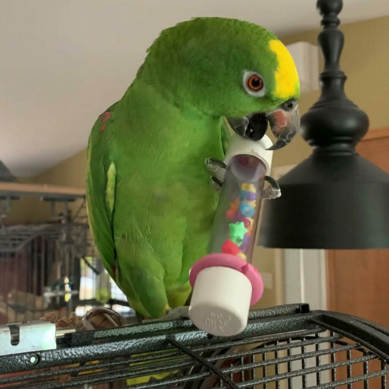Load image into Gallery viewer, HARI Smart Play Enrichment Parrot Toy Rattle - 81002