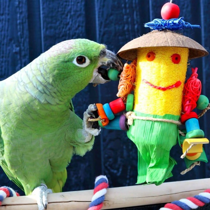 Load image into Gallery viewer, HARI Smart Play Enrichment Parrot Toy Loofah Man - 81013