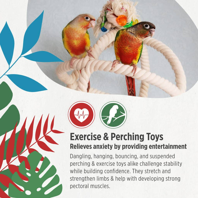 Load image into Gallery viewer, HARI Smart Play Rope Orbiter Perch n' Swing