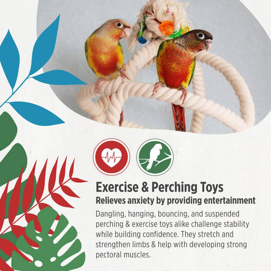 HARI Smart Play Rope Orbiter Perch n' Swing