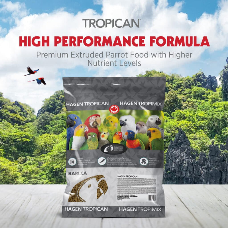 Load image into Gallery viewer, Tropican High Performance 8mm Rounds Spheres - Parrots 🍁