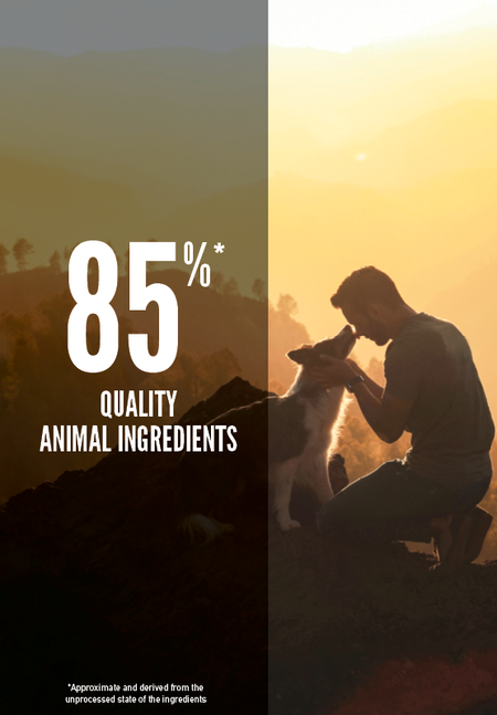 Load image into Gallery viewer, Orijen Tundra Grain Free Dog Food 11.4KG(25lb) 🍁