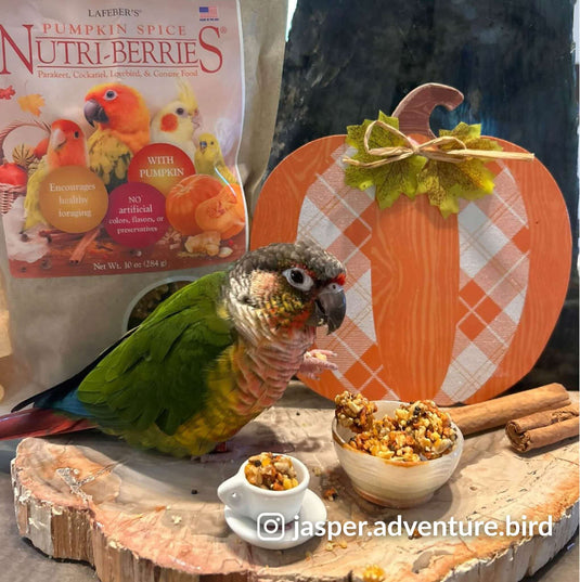 Lafeber's LIMITED EDITION Pumpkin Spice Nutri-Berries Small Bird