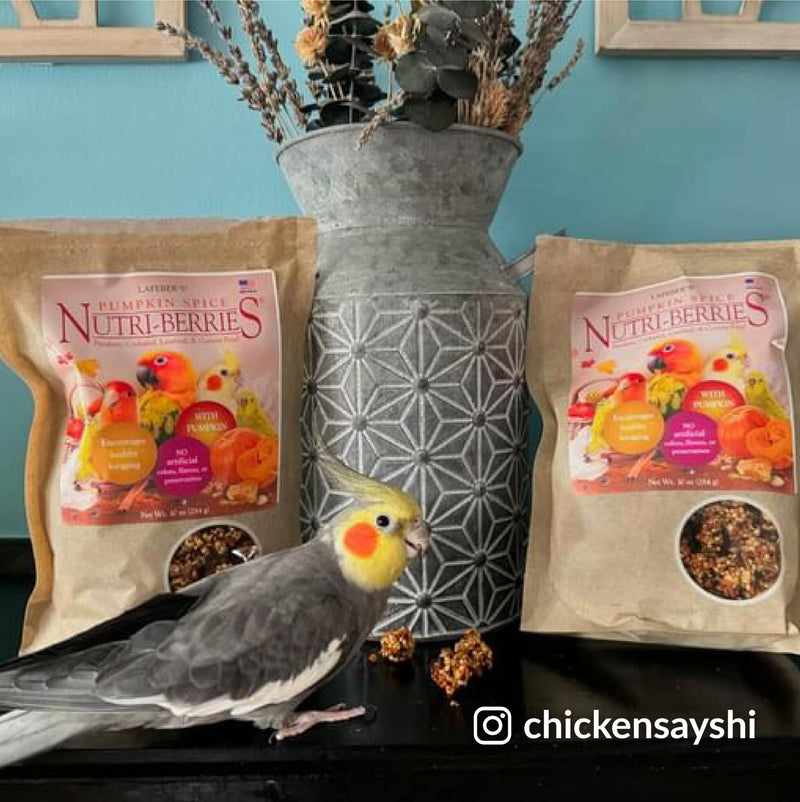Load image into Gallery viewer, Lafeber's LIMITED EDITION Pumpkin Spice Nutri-Berries Small Bird