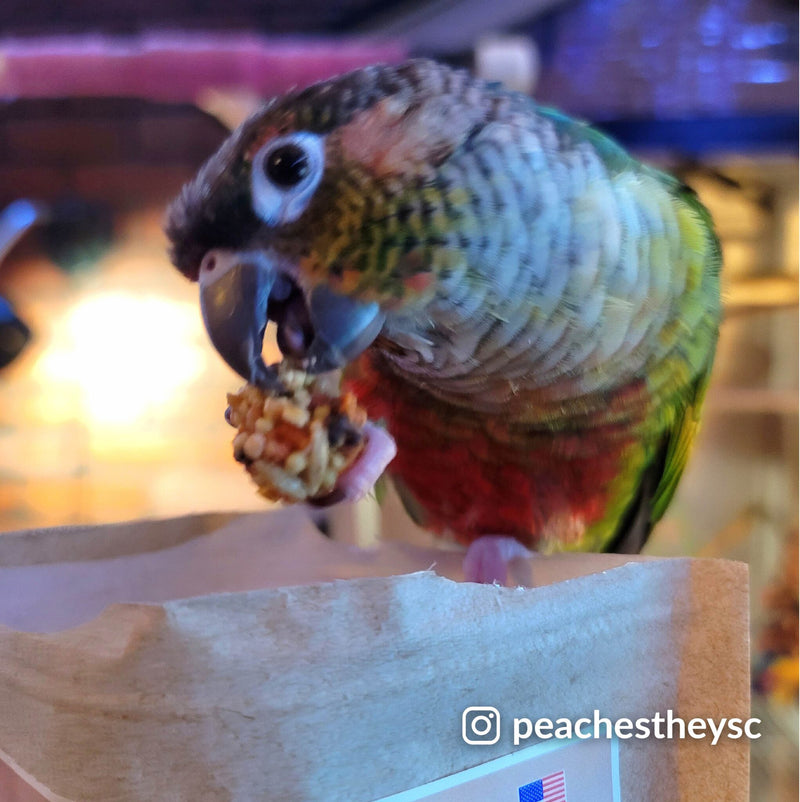 Load image into Gallery viewer, Lafeber's LIMITED EDITION Pumpkin Spice Nutri-Berries Small Bird