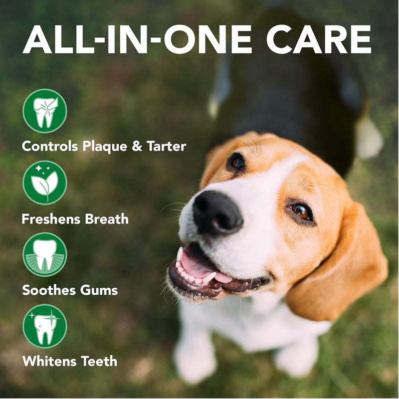 Load image into Gallery viewer, Dog Dental Care Kit - Toothbrush & Gel