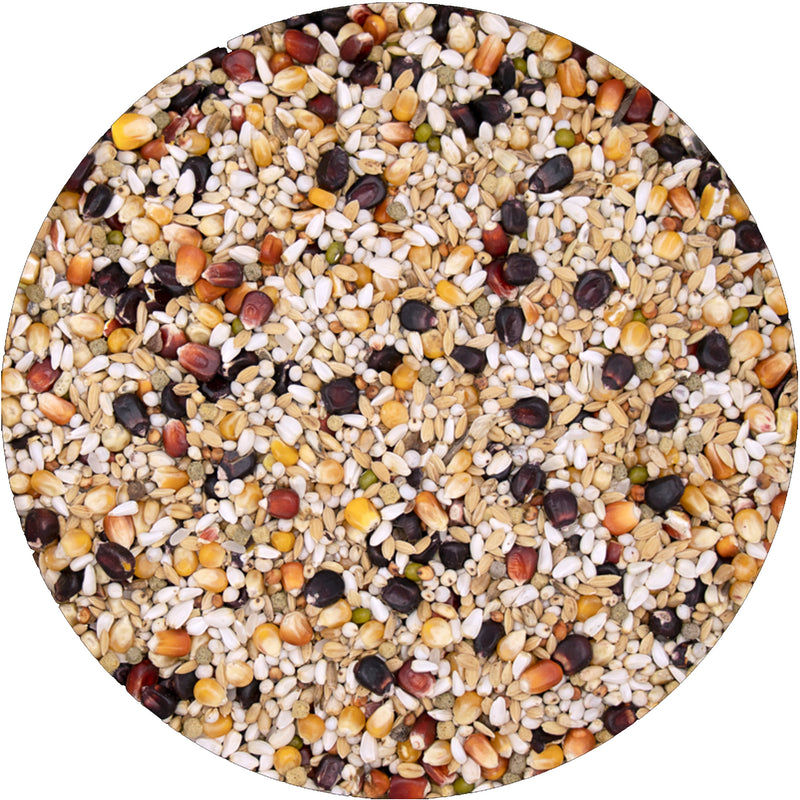 Load image into Gallery viewer, Versele-Laga Plus Black Label I.C.+ Gerry - 20kg