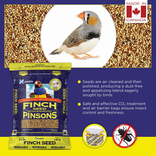 Hagen Staple VME Seed - Finch 🍁