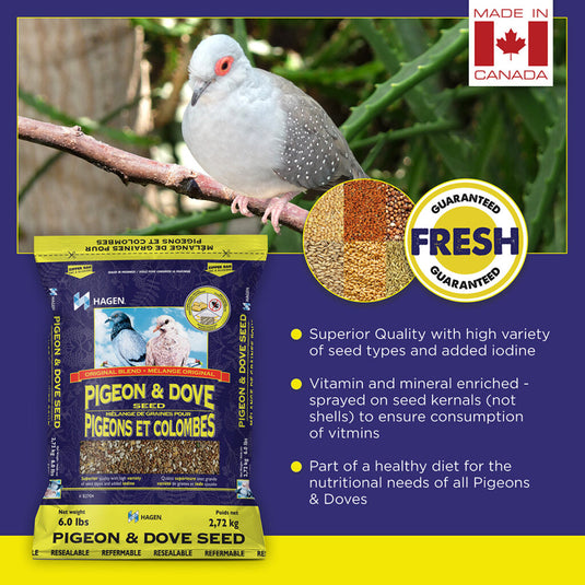 Hagen Staple VME Seed - Pigeon & Dove 🍁