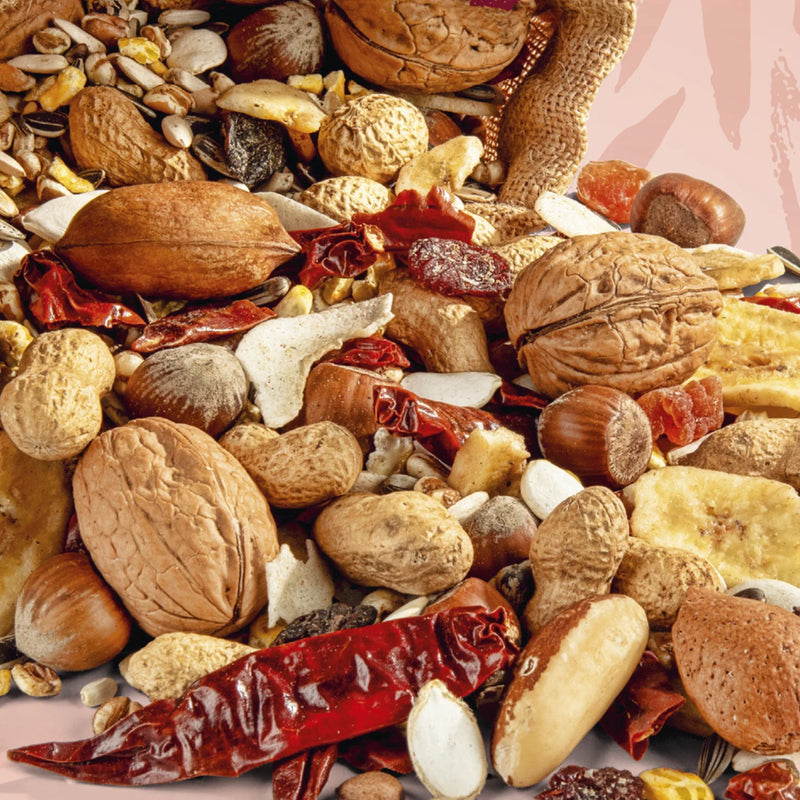 Load image into Gallery viewer, Prestige Exotic Nuts Parrot Treat - 750 g