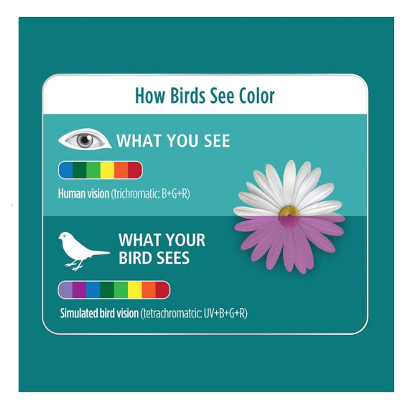 Load image into Gallery viewer, Hagen Vision 9W CFL UVA/UVB Light - 83845